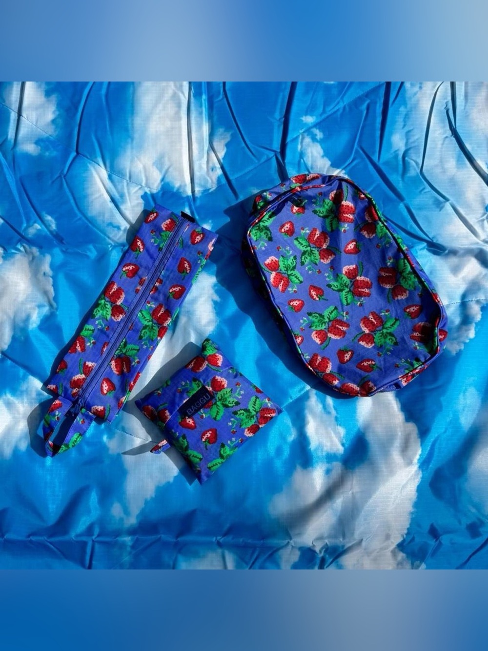 BAGGU Wild Strawberries Strawberry 3D Zip Pouch, Packing Cube, Regular Reusable